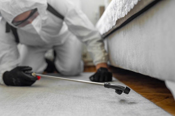 Professional Bed Bug Control technician working in Hamilton College, NY