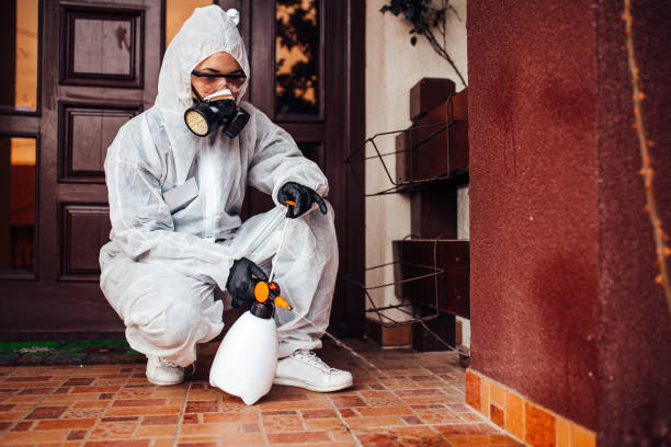 Reliable Bed Bug Control contractor in Hamilton College, NY by Nex Pest Control