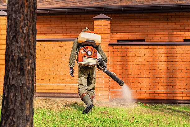 Trusted Emergency Pest Control service in Hamilton College, NY - Nex Pest Control